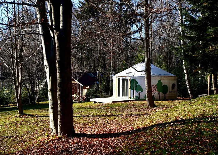 Glamping Dolina Luksusowy namiot